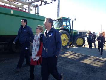 Kathleen Wynne walks along tomato wagons at Highbury Canco. October 16, 2015 (Photo by Kevin Black)