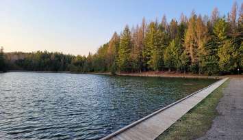  Allan Park Conservation Area. Photo provided by Saugeen Valley Conservation Authority. 