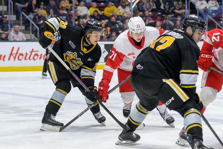 Soo Greyhounds at Sarnia Sting, March 14, 2025. Photo by Metcalfe Photography. 