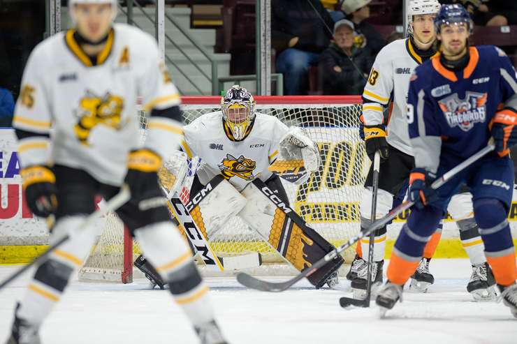 Sarnia Sting host Flint Firebirds on November 19, 2023. Photo by Metcalfe Photography. 