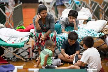 Red Cross operated shelter in Greenville, North Carolina. Beatriz relaxes on a Red Cross cot with her four sons – Carlos, Ever, Irvin  and Jason. Photo by Adam Jennings/American Red Cross.