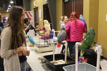 Southwestern Ontario Pet Expo at the John D. Bradley Convention Centre in Chatham. March 11, 2017. (Photo by Natalia Vega)