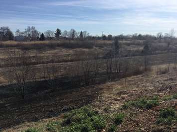 Brush Fire near CN train tunnel in Port Huron April 22/18. Photo courtesy of Port Huron Fire Dept. via twitter.