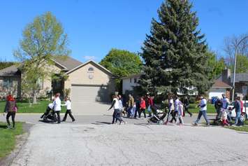 The Chatham-Kent Mandarin MS Walk. May 7, 2017. (Photo by Natalia Vega)