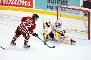 The Sarnia Sting taking on the Guelph Storm in Game 3 of the opening round playoff series. 4 April 2023. (Metcalfe Photography)