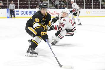 Sarnia's Marcus Limpar-Lantz carries the puck around former Sting Max Namestnikov. 15 February 2023. (Metcalfe Photography)