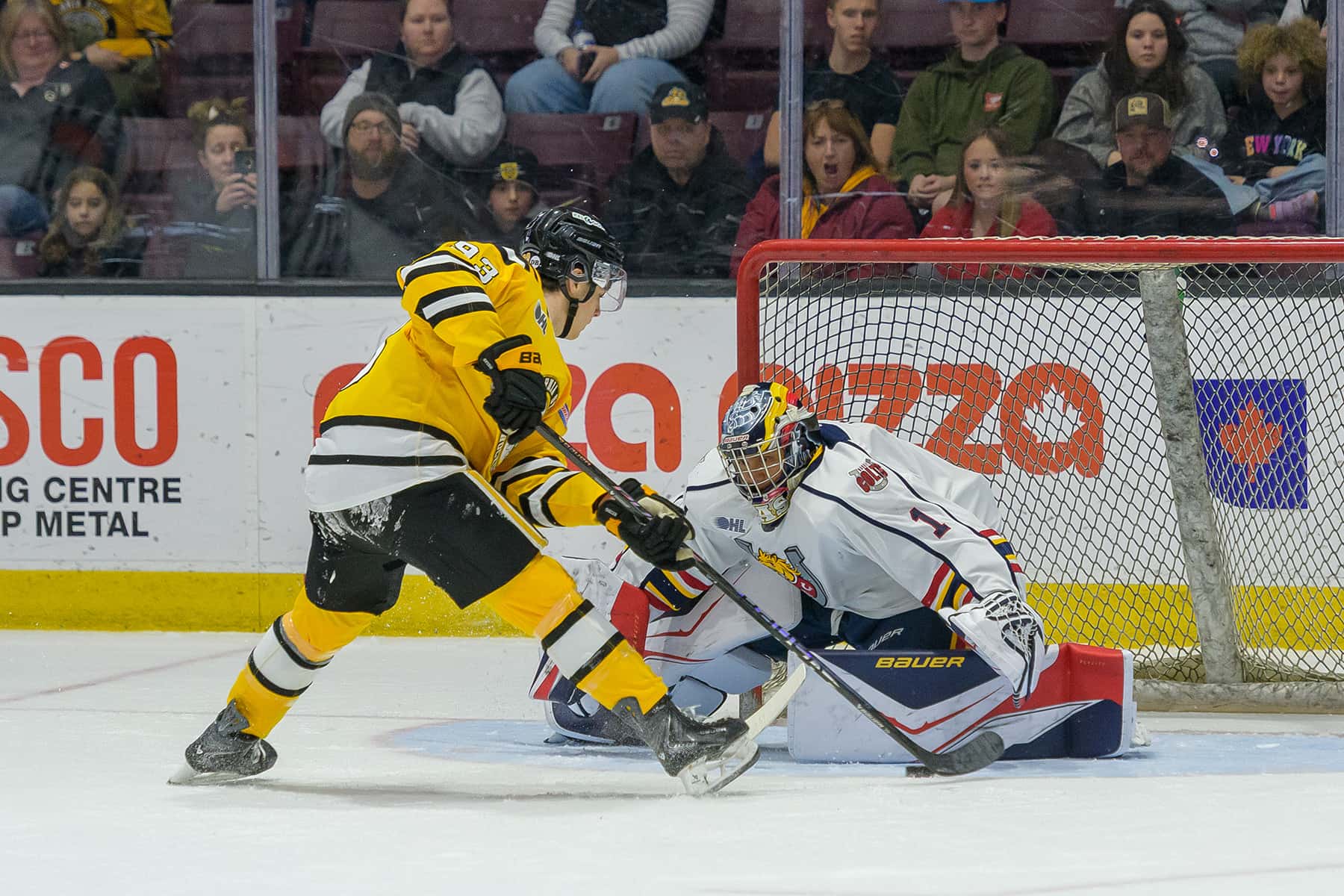 Sting lose to Barrie in overtime