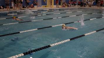 Swimmers taking part in the LKSSAA Swimming Championship from the Sarnia YMCA. January 17, 2019. (Photo by Colin Gowdy, BlackburnNews)