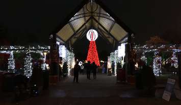 Ocean Connolly says she is not The Grinch after a small and peaceful protest at the Windsor Bright Lights display at Jackson Park. Dec 21, 2018. (Photo by Paul Pedro)