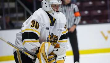 Evan Mailett of the Sarnia Sting. Photo by Natale Shaver/OHL Images
