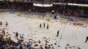 19th Annual Teddy Bear Toss Dec 4, 2016. BlackburnNews.com photo by Stephanie Chaves.