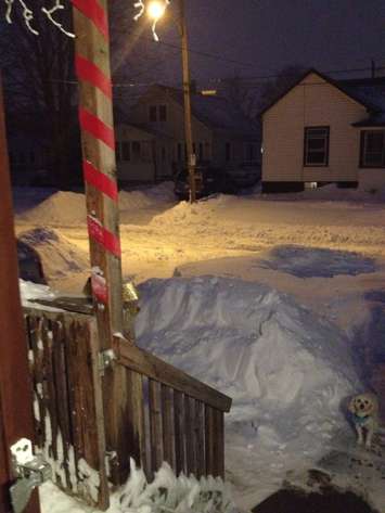 Photo courtesy Sherri Burke
