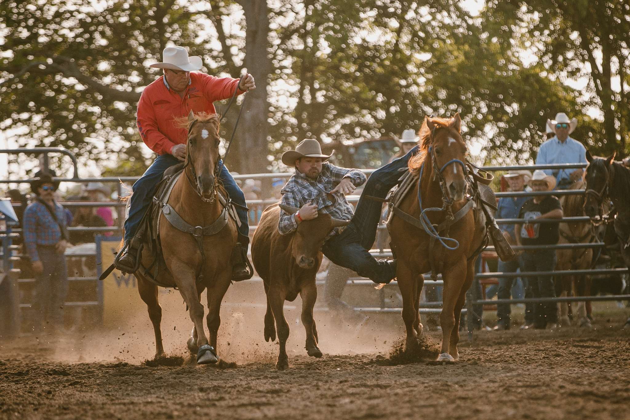 Everything you need to know about the 5th Alvinston Pro Rodeo