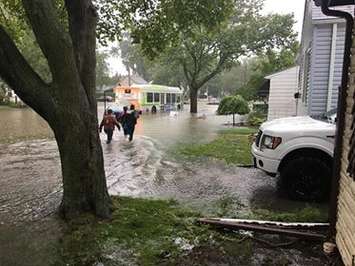 Windsor residents deal with widespread flooding in the city,
 August 29, 2017. (Photo courtesy of Dora Amelia Belanger)