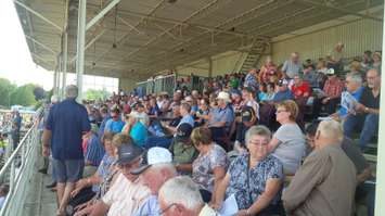 A full grand stand at Clinton Raceway for Legends Day on July 30, 2017. (Photo by Bob Montgomery)