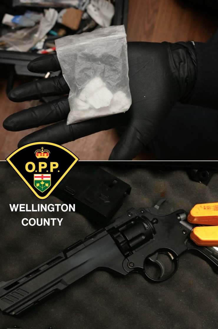 Wellington County OPP