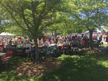 An impressive turnout for the 38th annual Seniors Cruise. June 27, 2016 (BlackburnNews.com photo by Melanie Irwin)