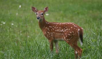 (File photo courtesy of braindance via morgueFile)