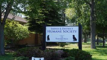 Sarnia Humane Society (BlackburnNews.com File Photo by Briana Carnegie)