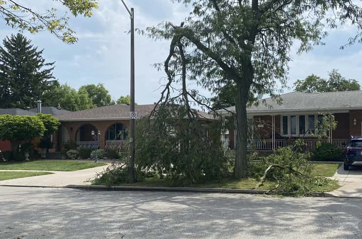 Storm damage is shown in Windsor's Forest Glade area, September 3, 2026. Photo by Adelle Loiselle/WindsorNewsToday.ca