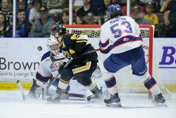 The Sarnia Sting hosting the Saginaw Spirit in Game 2 of the west semifinal. 16 April 2023. Metcalfe Photography. 