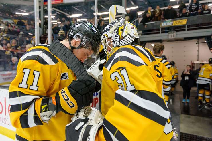 London Knights visit Sarnia Sting, January 1, 2025. Photo by Metcalfe Photography. 