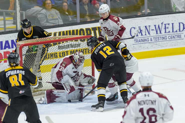 Peterborough at Sarnia Sting, Jan 24, 2026. Photo courtesy of Metcalfe Photography. 
