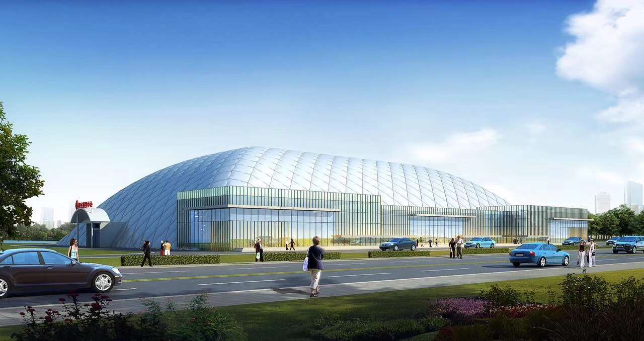 Sarnia man proposing inflatable dome to fill local recreational needs
