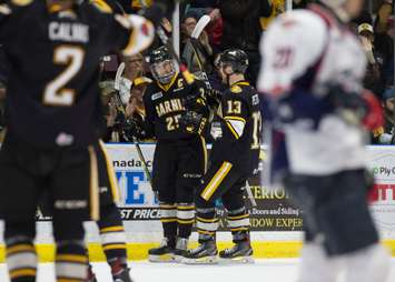The Windsor Spitfires take on the Sarnia Sting, March 24, 2018. (Photo courtesy of Metcalfe Photography)