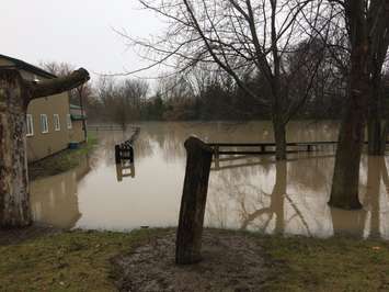 Thamesville flooding. Feb 23, 2018. (Photo by Paul Pedro)