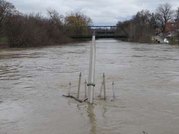 High water levels at the Walter J. Blackburn Memorial Fountain, February 21, 2018. (Photo by Miranda Chant, Blackburn News) 