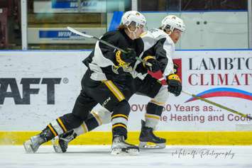 Sarnia Sting players taking part in the annual Black and White Game in support of the United Way.  2 September 2022.  (Metcalfe Photography)