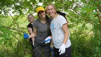 UCC Students (Via SCCDSB website)