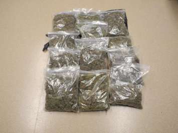 Operation Pinecreek drug investigation. Photo courtesy of OPP. 