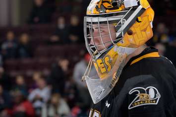 The Sting's Taylor Dupuis made 29 saves in a 5-2 win over Plymouth Jan. 16, 2015 (Photo courtesy of Metcalfe Photography)