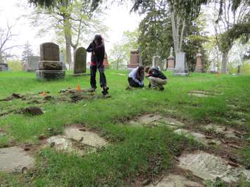 Western University students, Sunny Kim,Alyssa Szilagyi and MacKenzie Brash uncovering Confederation-era tombstones at Woodland Cemetery, May 11, 2017. (Photo by Miranda Chant, Blackburn News.)