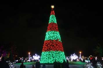 The main tree is lit up at Bright Lights Windsor, Jackson Park, December 6, 2019. Photo by Mark Brown/Blackburn News.