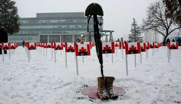 Memorial set up at the Windsor Cenotaph for the 2019 Remembrance Day ceremony, November 11, 2019. (Photo by Maureen Revait)