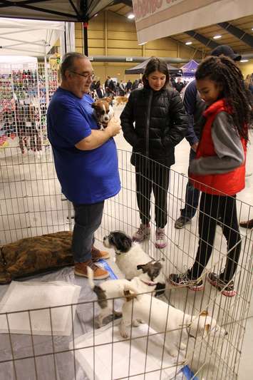 Southwestern Ontario Pet Expo at the John D. Bradley Convention Centre in Chatham. March 11, 2017. (Photo by Natalia Vega)