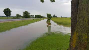 Flooding in Lucknow Line and Nile Rd. areas. (Photo by Rose E. Pentland)