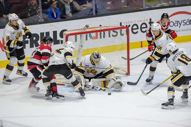 Sarnia Sting host Ottawa on Nov 22, 2024. (Photo by: Darren Metcalfe Photography) 