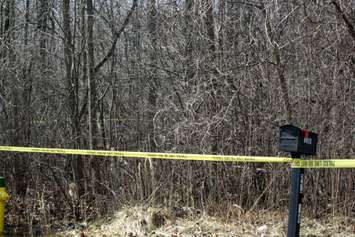 A section of wooded area along Tashmoo Ave. remained cordoned off Mar. 26, 2016 for a homicide investigation (BlackburnNews.com photo by Dave Dentinger)
