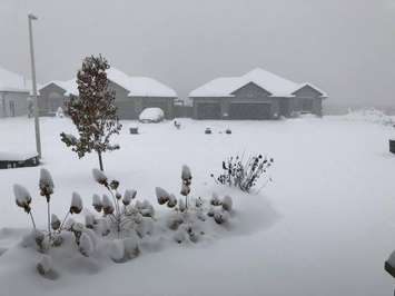 Snowfall in Camlachie. November 12, 2019 Photo submitted by Crystal Wilson