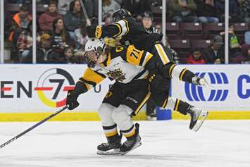 The Sarnia Sting host the Hamilton Bulldogs. 15 March 2023. (Metcalfe Photography)