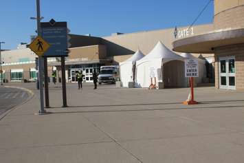 Targeted vaccine clinic for the 80+ population at the WFCU Centre in Windsor, March 3, 2021. (Photo by Maureen Revait) 