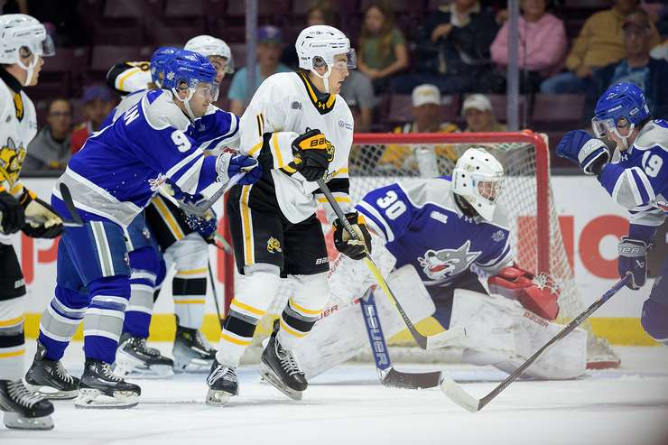 Sudbury Wolves at Sarnia Sting, Sept 26, 2025. Photo by Metcalfe Photography. 