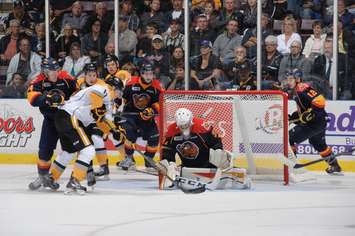 The Sarnia Sting vs the Erie Otters September 2015 (Photo courtesy of Metcalfe Photography)