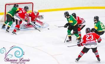 Sarnia Legionnaires vs St. Thomas Stars.  November 11, 2021. (Photo by Shawna Lavoie Photography)