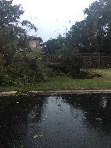 Storm damage is seen in Windsor on August 6, 2018. Photo courtesy of Wendy MacDonald. Used with permission.