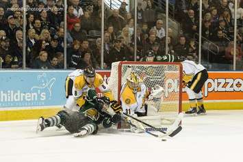 The London Knights take on the Sarnia Sting, February 7, 2016. (Photo courtesy of Metcalfe Photography)